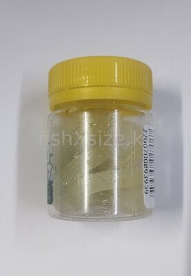 Приманка Teruki ROY 65мм, сыр, цвет 01-17 Светонакопительный